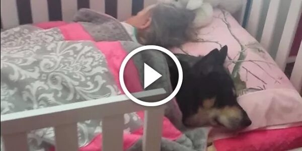 Дочь соседки. Папа сношается с дочкой на кухне. Зашла в комнату сына и увидела. Кори чейз stepmom. Зашла в комнату сына и увидела.