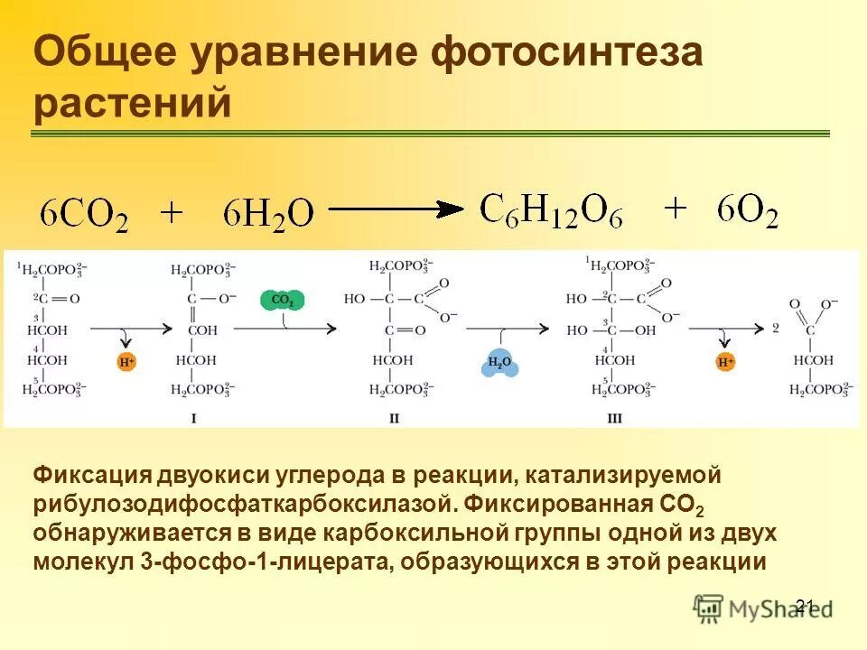 Co2 h2o фотосинтез. Суммарная реакция фотосинтеза формула. Процесс фотосинтеза реакция в химии. Суммарная формула фотосинтеза. Химические реакции процесса фотосинтеза.