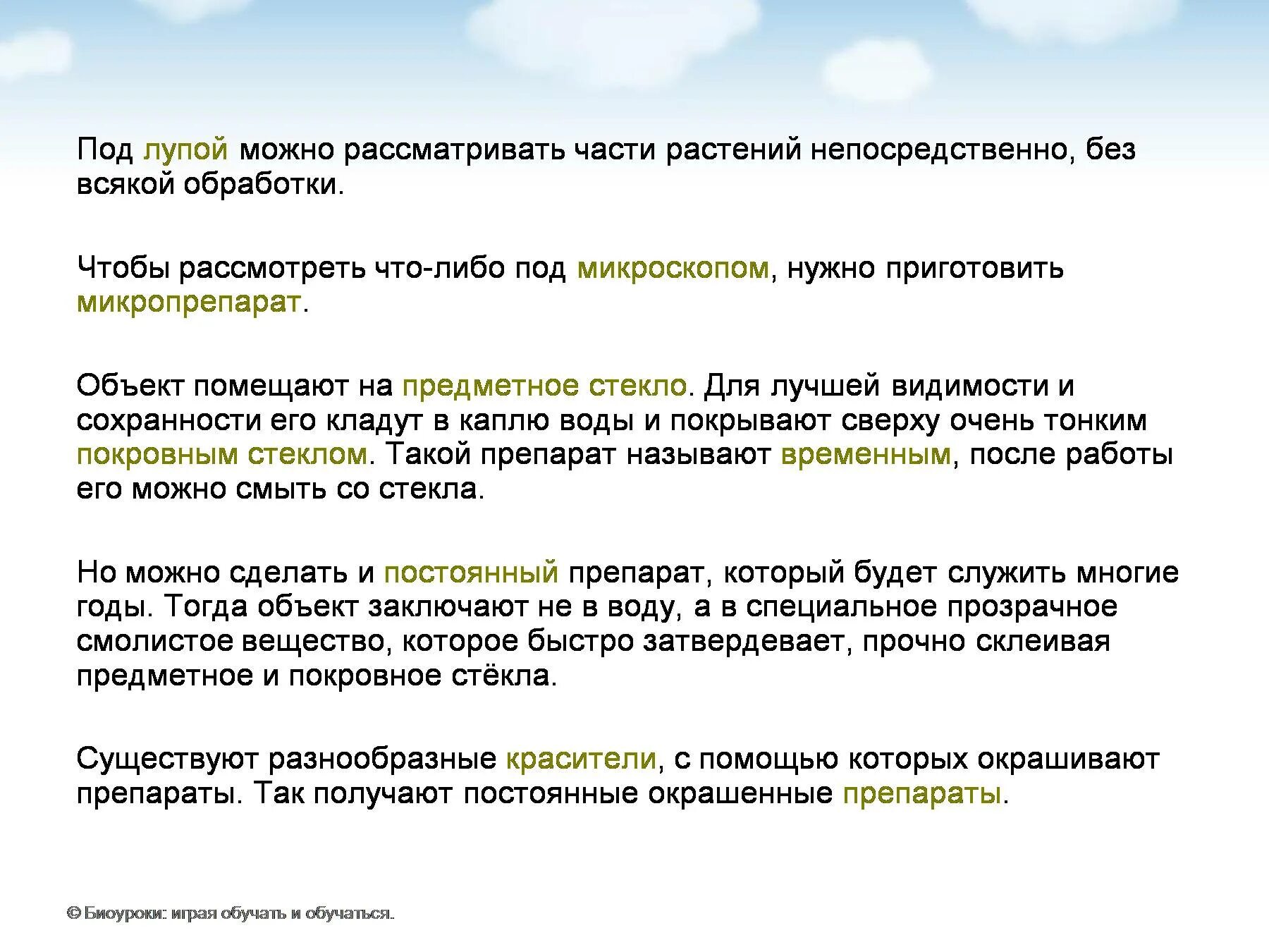 Для чего нужно предметное стекло. Для чего нужны предметные и покровные стекла. Для чего нужно покровное стекло. Предметные и покровные стекла при приготовлении микропрепаратов.