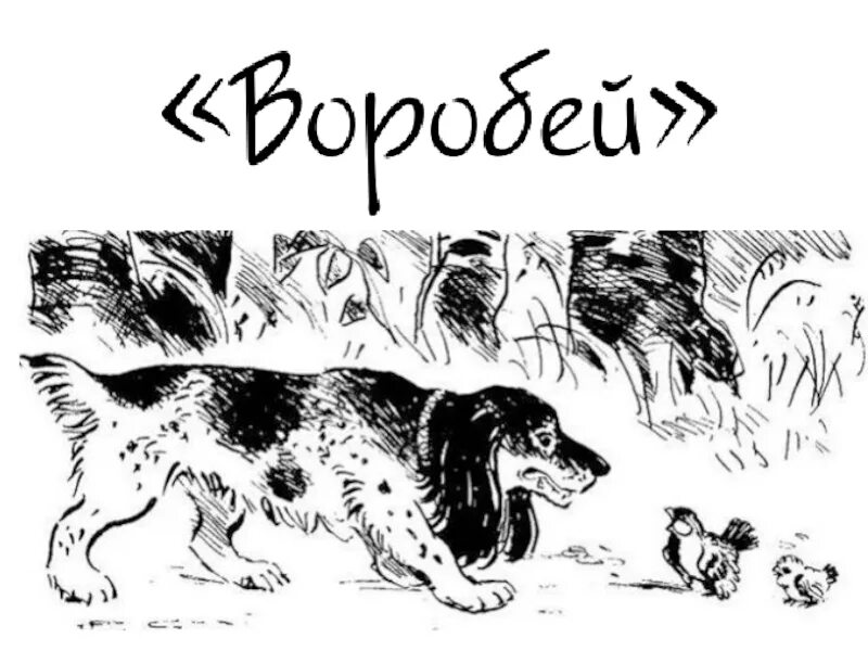 Рассказ Воробей Тургенев. Иллюстрация к стихотворению Воробей Тургенева.