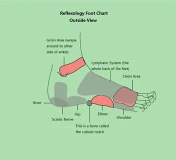 Feet guide