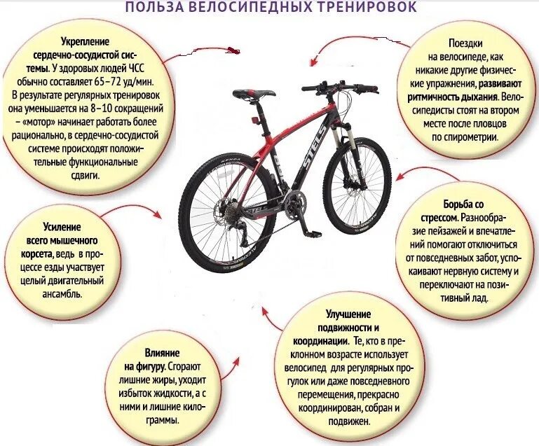 Как починить велосипед в 7 days. Неисправности велосипеда и их устранения. сочинение как ремонтировать велосипед. ремонт велосипеда стелс. памятка веломастерская.