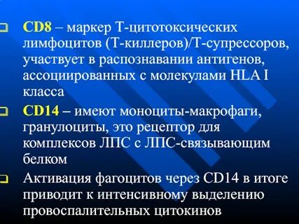 Цитотоксические лимфоциты распознают