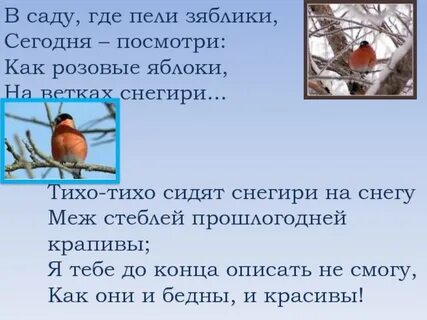 Как розовые яблоки на ветках снегири стихотворение