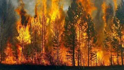 Біздің соңғы секс комикстері