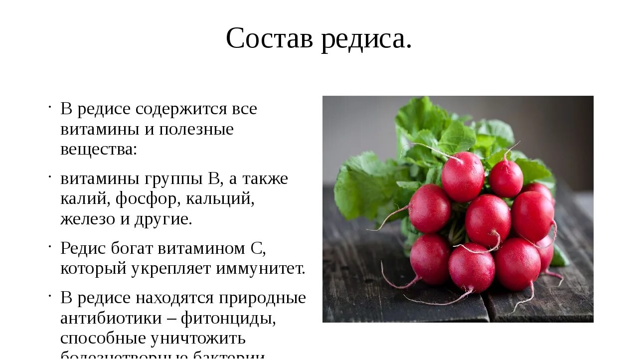 Витамины в редиске. Чем полезен редис. Редис витамины. Кокой витомин в релиске.