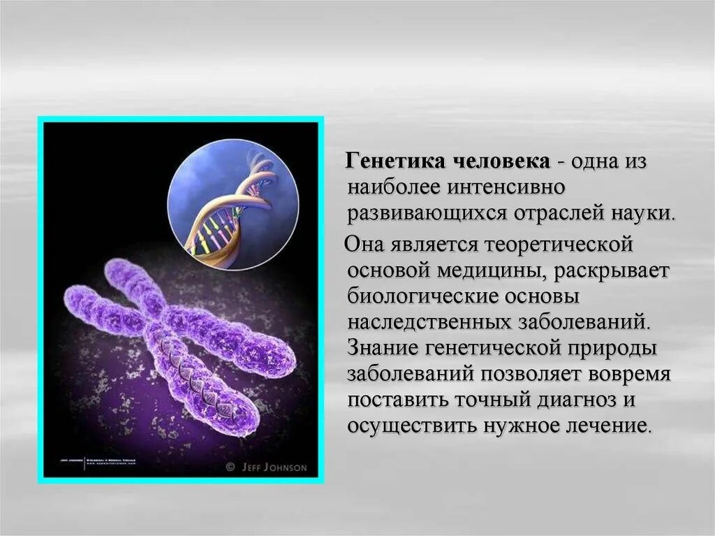 Генетика человека 10 класс биология презентация. Генетика человека. Генегенетика человека. Генетика человека презентация. Генетика наследственность.