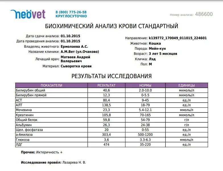 Сдать анализы георгиевск. Результаты анализов на гормоны. Сдать анализы георгиевск. Разбор анализов. Направление на анализы, бланки анализов для операции.