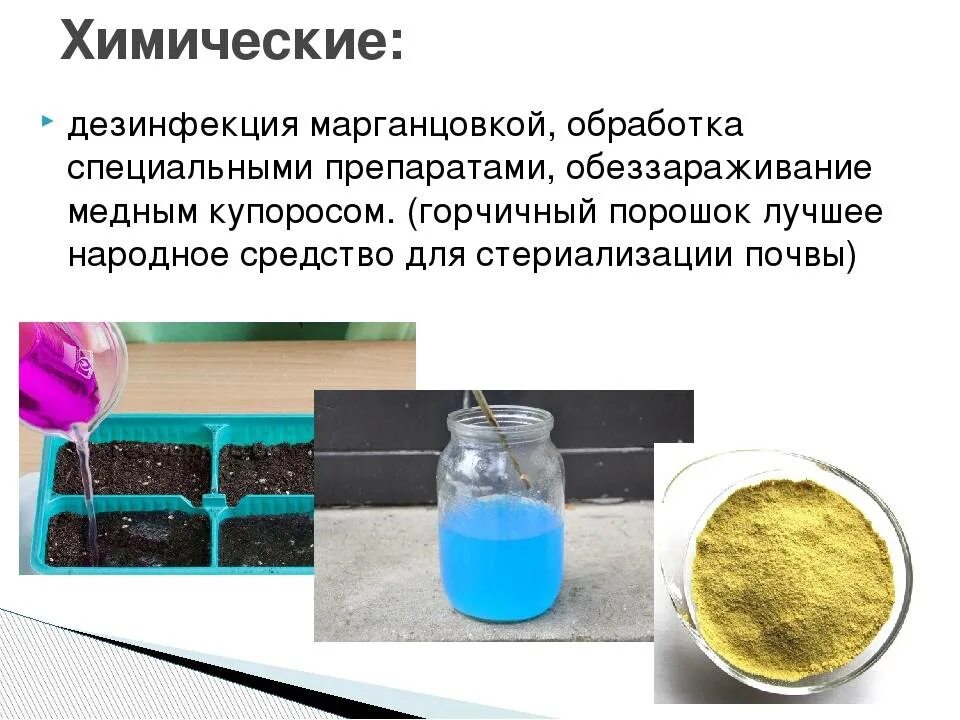 Препараты для обеззараживания почвы для рассады. Обеззараживание почвы для рассады. Дезинфекция грунта марганцовка. Обеззараживание почвы марганцовкой. Полить рассаду помидоров марганцовкой