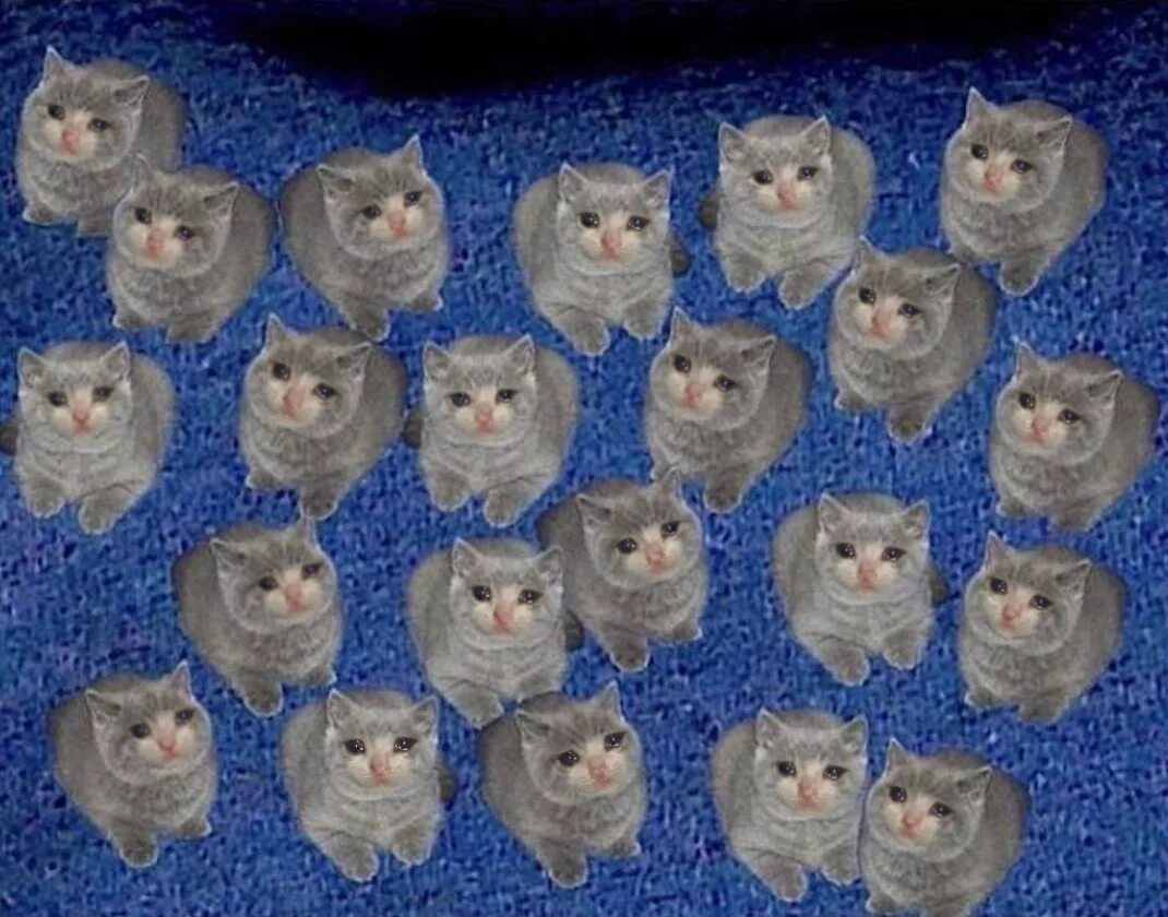 Two of them are. Two of them cats. just the two of us коты. two of them meme. me and michael cat.
