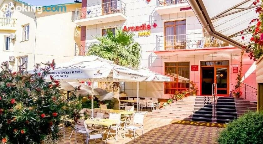 Аркадия+ отель адлер. Аркадия адлер. Аркадия +3 адлер. Аркадия плюс отель адлер. Адлер ул интернациональная.
