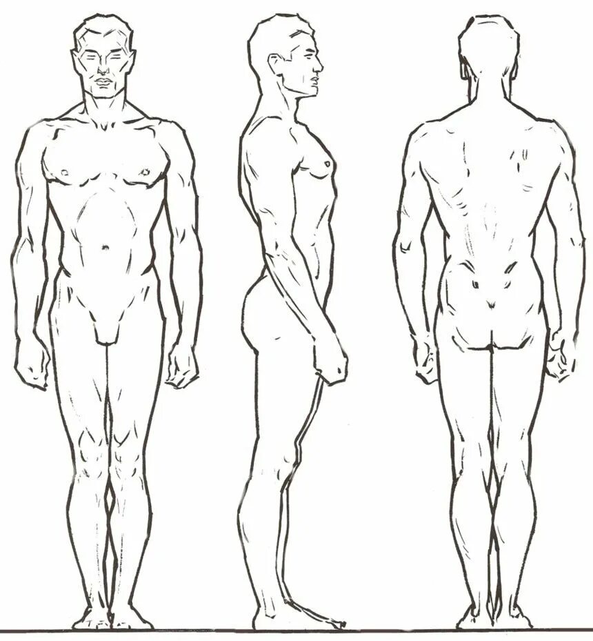 Тип рисования человека. Человек вид сбоку. Фигура мужчины сбоку. Мужчина сбоку анатомия. Человек сбоку в полный рост референс.