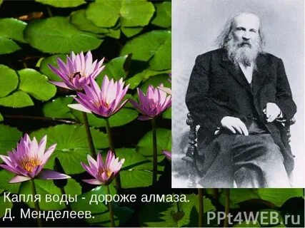 Подберите высказывания поэтов писателей о воде