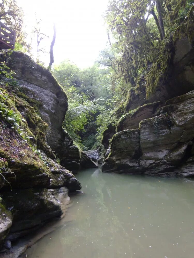 ущелье 12. ущелье 12. ущелье 12. хазнидонское ущелье кбр. пик большой чимган.