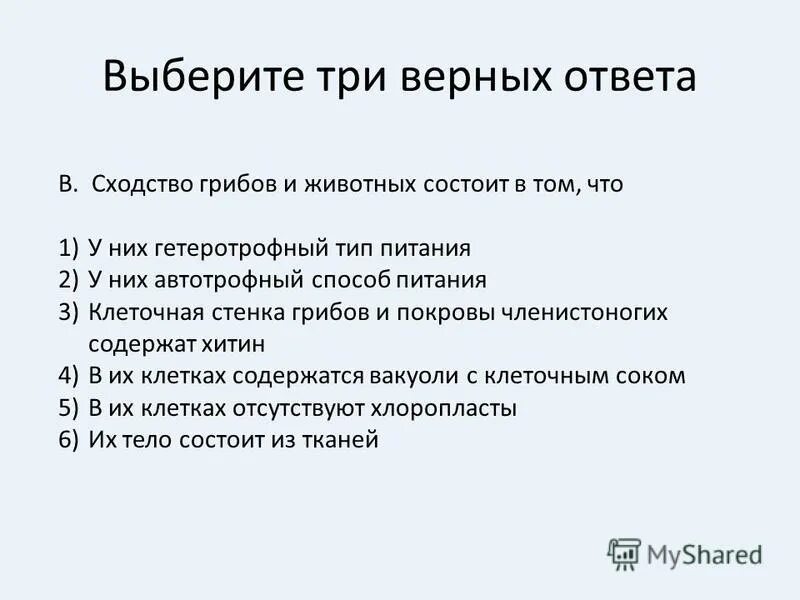 Сходство грибов и животных состоит. Сходство грибов и животных состоит в том что. Грибы сходство с растениями и животными. Черты сходства грибов с растениями и животными.