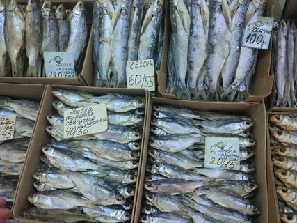 Рыба опт астрахань