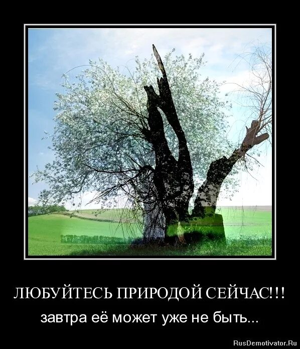 Природа приколы цитаты. Анекдоты про природу. Карикатура лесной пожар. Демотиваторы про мусор. Анекдоты про экологию.