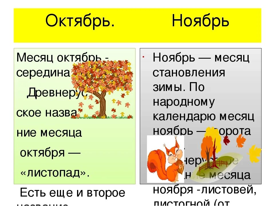 Ноябрь какой месяц. Ноябрь какой месяц по счету. Октябрь какой месяц. Ноябрь символика месяца.