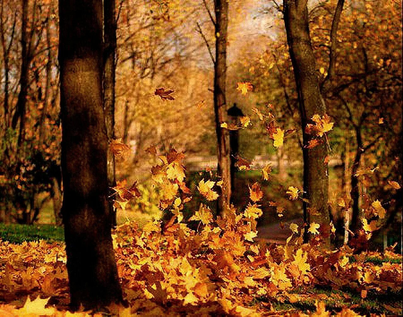 по осеннему шепчутся деревья. осень. шуршание осенних листьев. по осеннему шепчутся деревья. осенняя элегия.