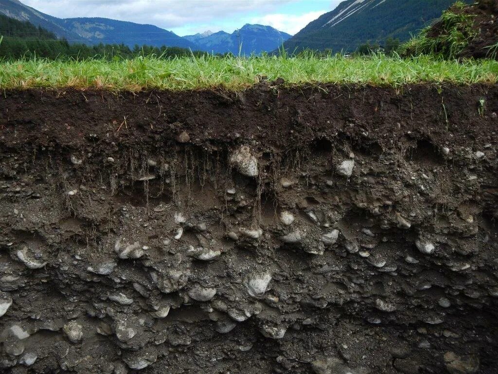 Почвогрунт зеленый город на основе биогумуса. Плодородная земля. Грунт города. Грунт города. Грунт города.