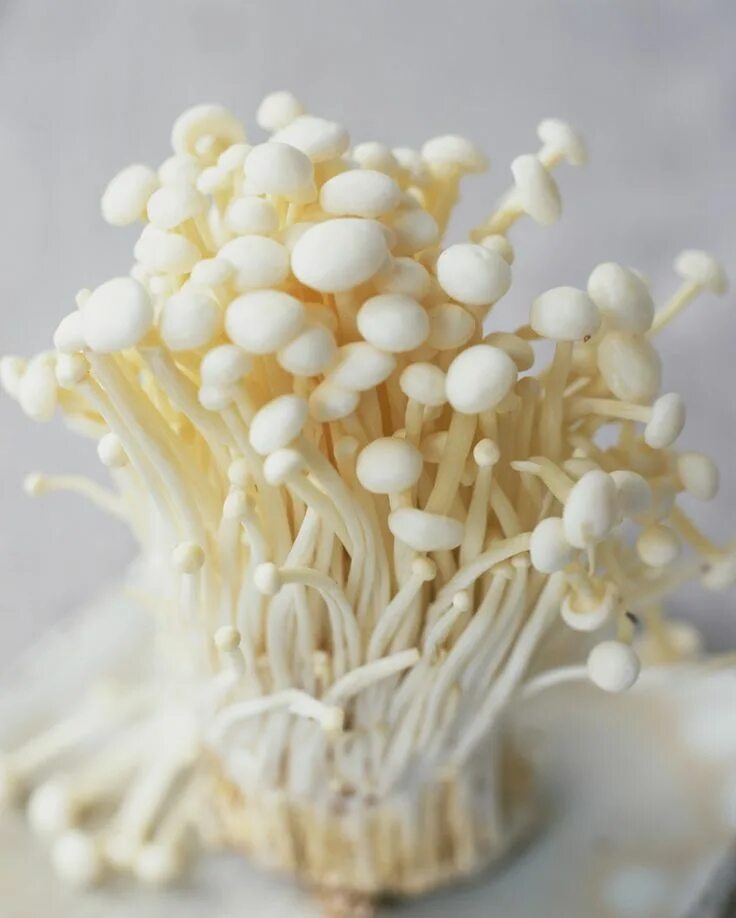 Nấm kim châm không chỉ ăn ngon mà còn tốt cho sức khỏe Enoki mushroom recipe, St