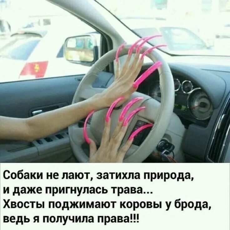 Если я не сдала вождение. Анекдоты про вождение автомобиля. шутки про вождение.