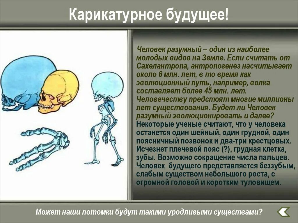 Представить человека будущего. Человек будущего Эволюция. Образ человека будущего. Человек будущего доклад. Человек будущего презентация.