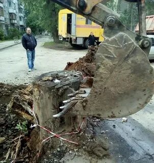 Кто выкорчевывает бузину