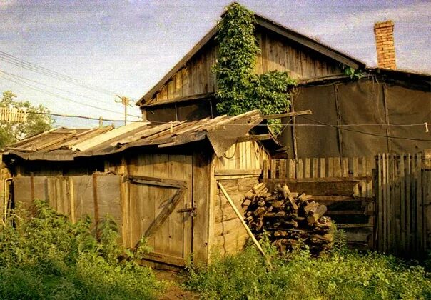 Фото сельских дворов. Фото сельских дворов. Двор в деревне. Двор деревенского дома. Деревенские собаки.