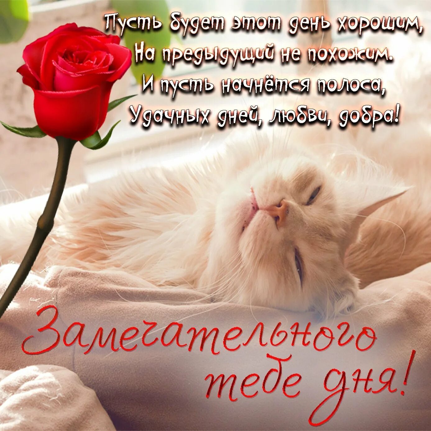 Good morning evening, day, night 2022 Доброе утро, вечер, день, ночь VK