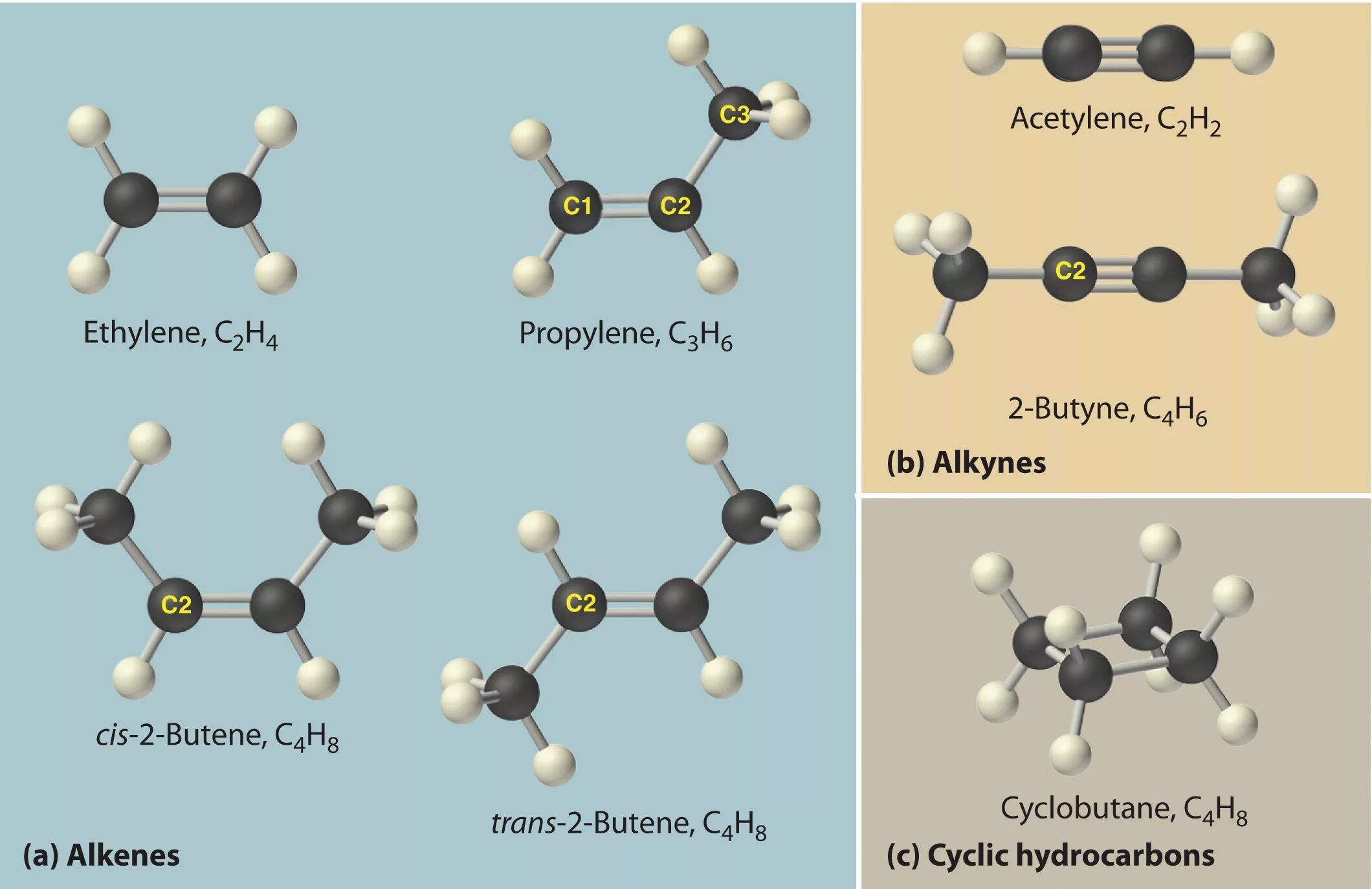 Модель молекулы 1-хлорпропана из пластилина. C6h6 шаростержневая модель. Бутен 1 молекула. Шаростержневые молекулы.