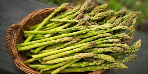 Asparagus перевод