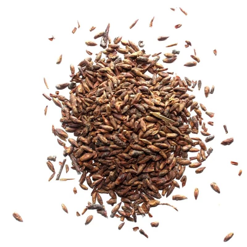 семена расторопши пятнистой. семена лекарственных растений. ). семена лекарственных растений. семена лекарственных растений.