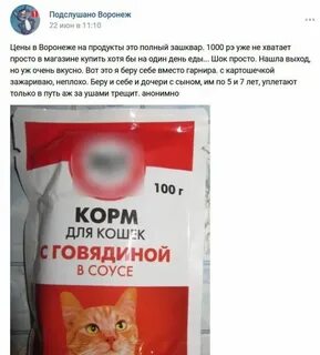 Мы оставили корм для кошки и отправились