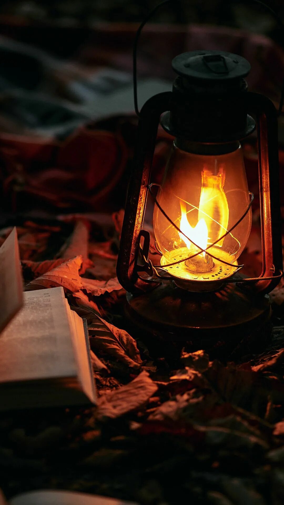 Camping books