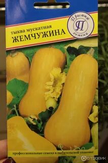 Тыква семейная