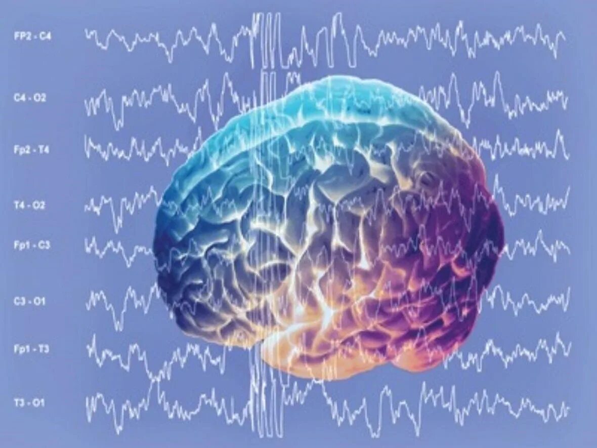 Ритмы мозга Альфа бета тета Дельта ритмы. Гамма ритмы головного мозга на ЭЭГ. Бета ритм головного мозга. Волны мозга человека.
