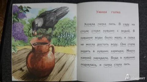 Текст галка 1 класс
