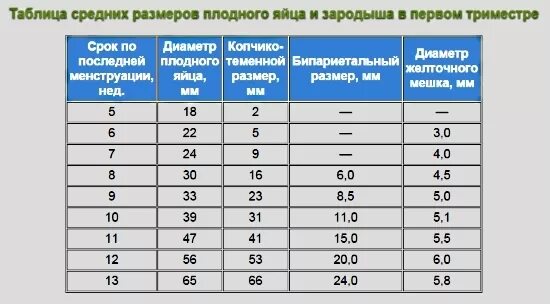 Размер плодного яйца в 9-10 недель. СВД плодного яйца таблица. СВД плодного яйца 17мм. Размер плодного яйца и срок.