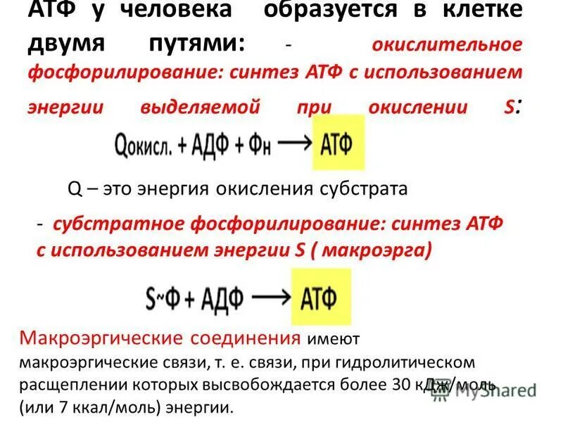 Субстратное фосфорилирование атф