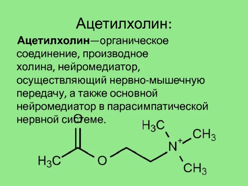 Синтез ацетилхолина. Биогенные Амины биохимия ацетилхолин. Холин ацетилхолин. Схема образования ацетилхолина.