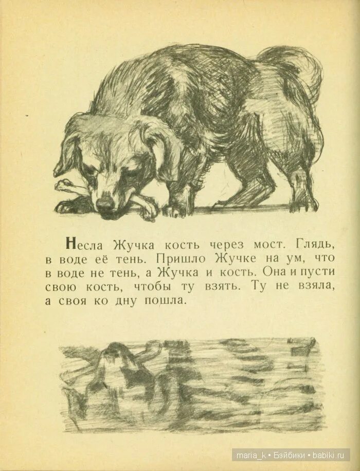 Произведение толстого жучка. Рассказ наша жучка. Тема и жучка гарин михайловский михайловский. Рассказ тема и жучка. Басня льва николаевича толстого собака и ее тень.