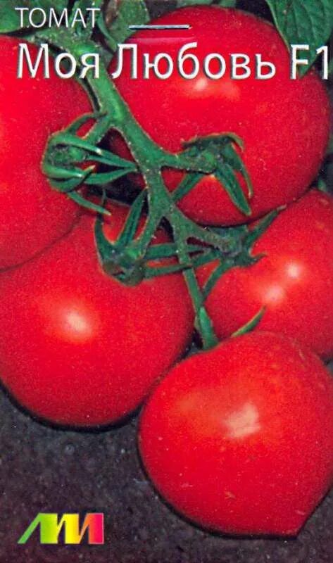 Сорт томатов любовь. Томат моя любовь мязина. томат катрина мязина. семена томат любовь f1. семена томат катрина мязина.