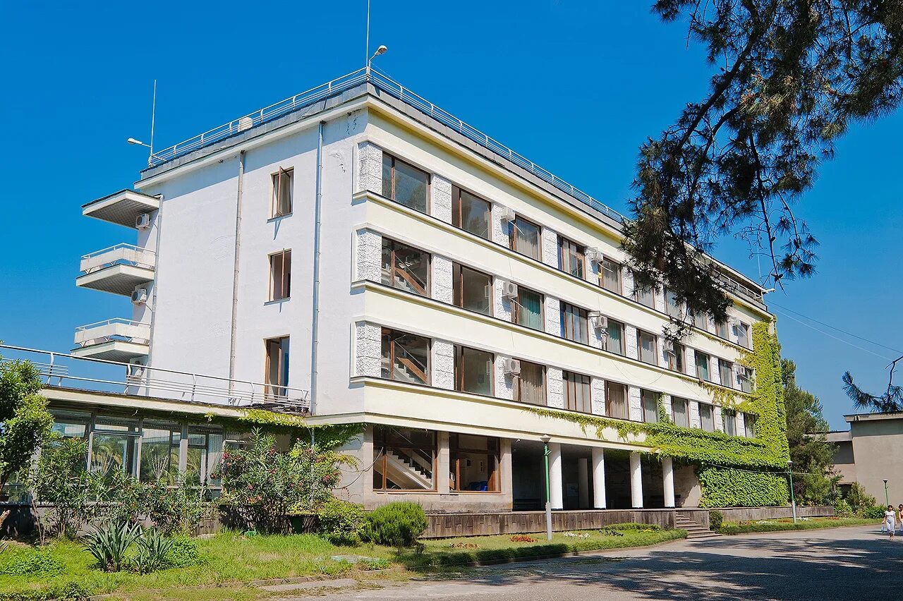 Пансионат сосновая роща абхазия. Сосновая роща абхазия пицунда. Пансионат сосновая роща пицунда абхазия. Пансионат сосновая роща пицунда. Пицунда мандариновая роща.