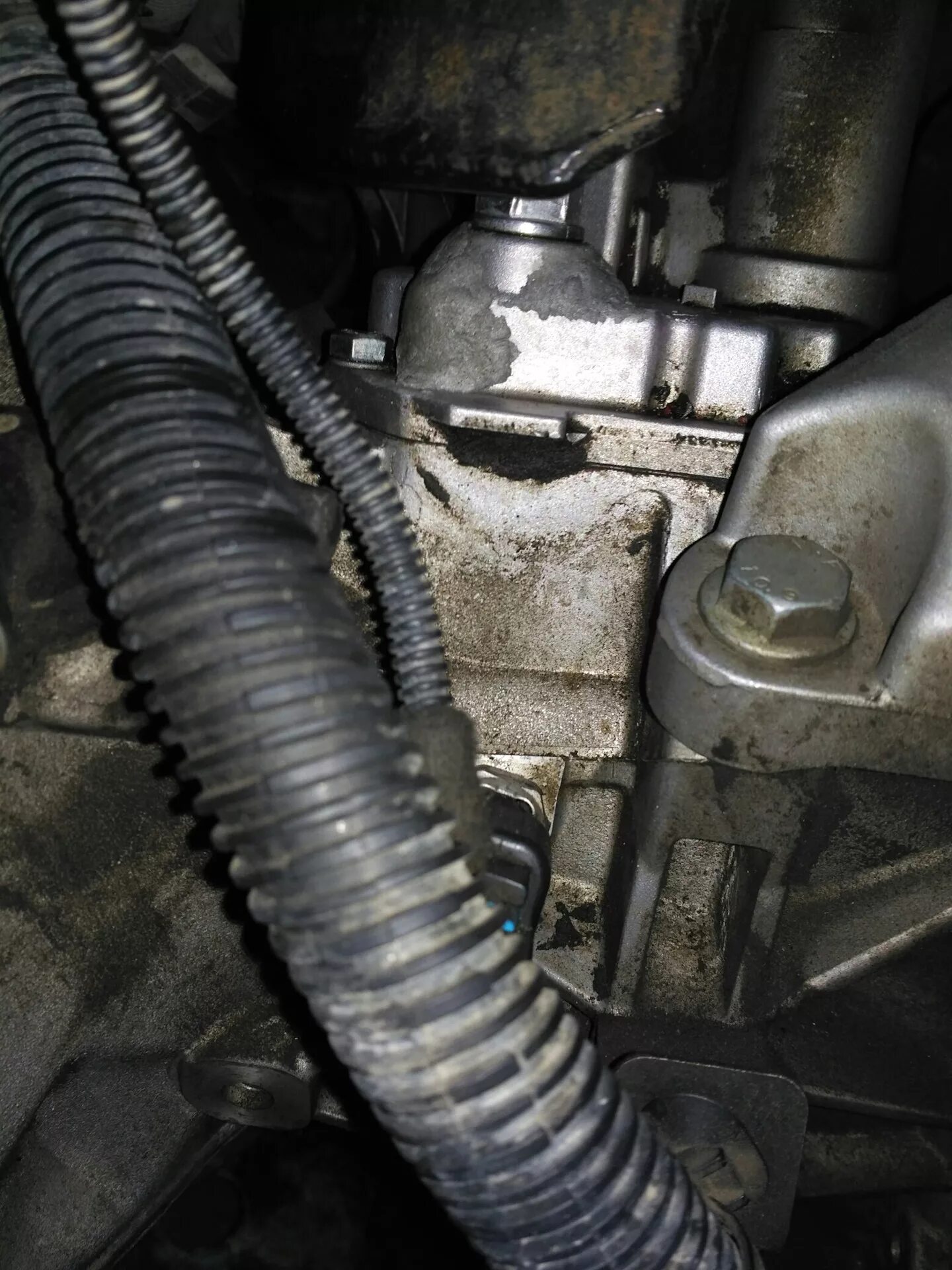 Щуп опель зафира 2. Opel astra j 1,6 уровень масла в коробке. Уровень масла опель зафира б 1. Зафира турер 1. Зафира 2.