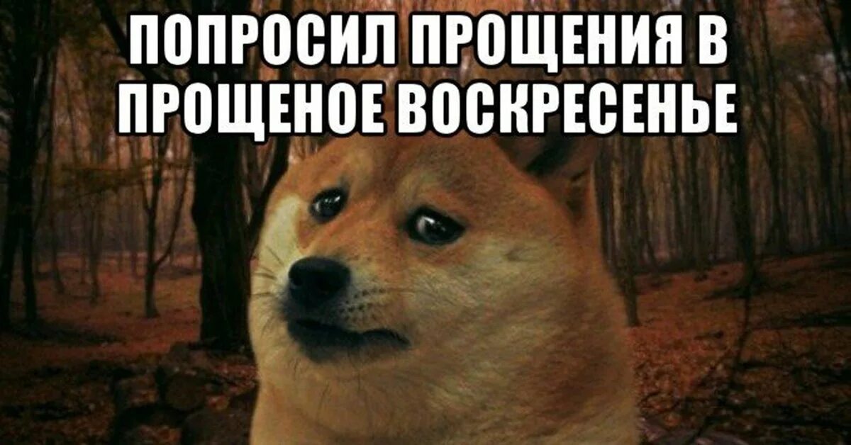 Можешь даже не ехать. Можешь даже не ехать