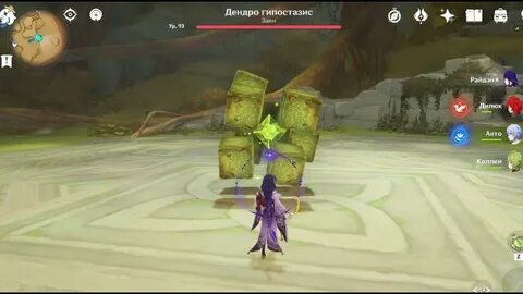 Куда девать дендро