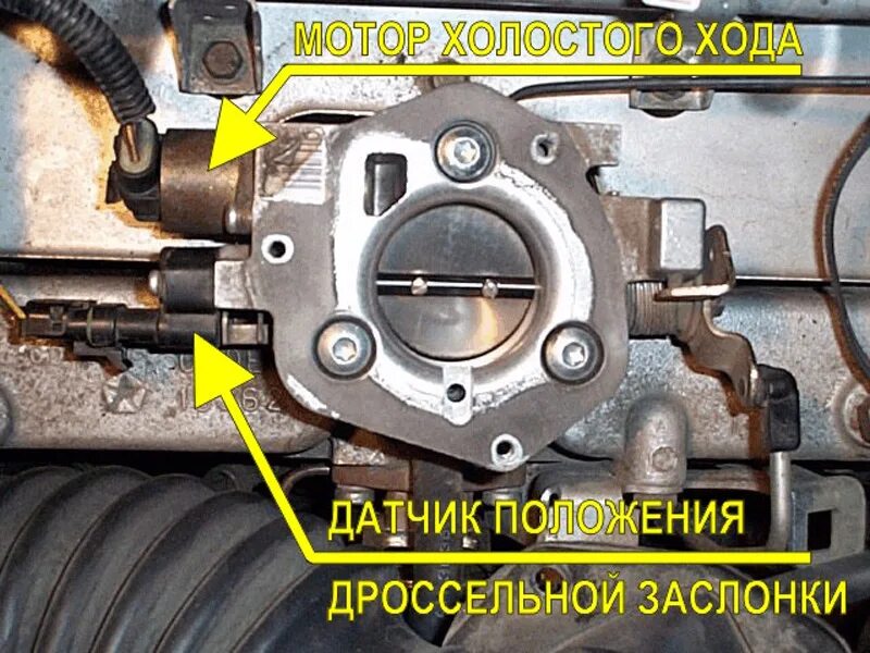 Почему поднимаются обороты на холостом. Регулировочный болт дроссельной заслонки 3s ge. Регулировочный винт дроссельной заслонки ВАЗ 2114. Датчик холостого хода на заслонке. Дроссель и датчик холостого хода.