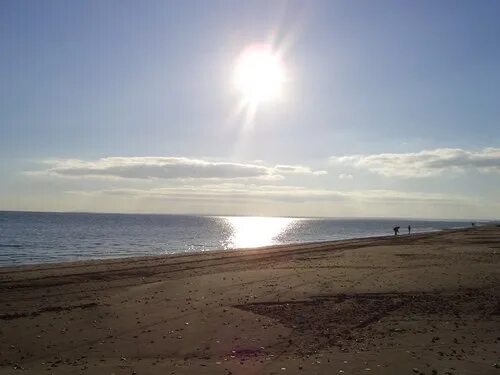 Кама - Picture of Laishevo, Republic of Tatarstan - Tripadvisor