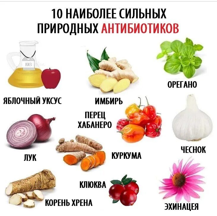 Природные антимикотики. Природные антибиотики это. Натуральные антибиотики природные. Природные антибиотики это. Антибиотики для растений.